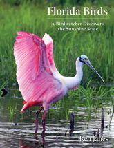 Florida Birds - 7 Nov 2023