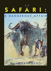 Safari - 1 Jan 2000