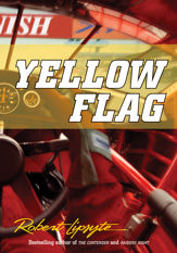 Yellow Flag - 26 Jan 2010
