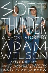 Soft Thunder - 28 Jan 2014