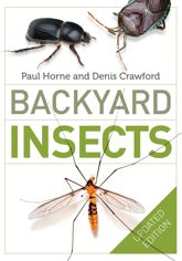 Backyard Insects Updated Edition - 1 Feb 2016