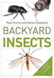 Backyard Insects Updated Edition - 1 Feb 2016