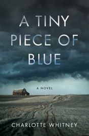 A Tiny Piece of Blue - 18 Feb 2025