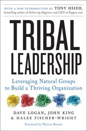 Tribal Leadership Revised Edition - 3 Jan 2012