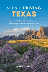 Scenic Driving Texas - 1 Feb 2023