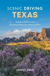 Scenic Driving Texas - 1 Feb 2023