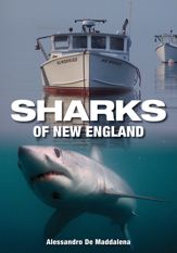 Sharks of New England - 1 Sep 2010