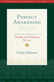 Perfect Awakening - 27 May 2025