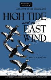 High Tide and an East Wind - 15 Sep 2017