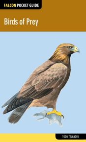 Birds of Prey - 7 Jan 2015