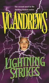 Lightning Strikes - 8 Feb 2011