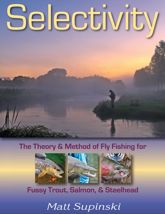 Selectivity - 11 Jan 2014