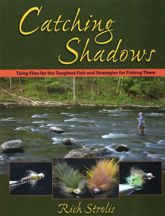 Catching Shadows - 15 Jan 2016