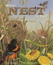 Whose Nest Is This? - 16 Mar 2009