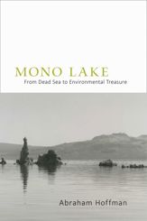 Mono Lake - 1 Apr 2014