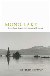 Mono Lake - 1 Apr 2014