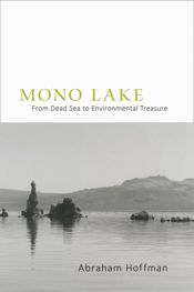 Mono Lake - 1 Apr 2014