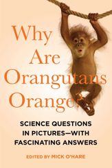 Why Are Orangutans Orange? - 15 Nov 2021