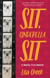 Sit, Cinderella, Sit - 14 Jan 2025