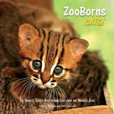 ZooBorns Cats! - 30 Jun 2015