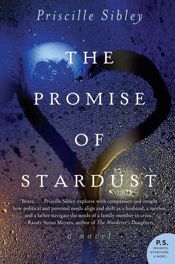 The Promise of Stardust - 5 Feb 2013