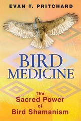 Bird Medicine - 20 May 2013