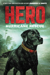 Hero: Hurricane Rescue - 30 May 2017