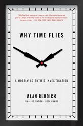 Why Time Flies - 24 Jan 2017
