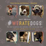 #WeRateDogs - 3 Oct 2017