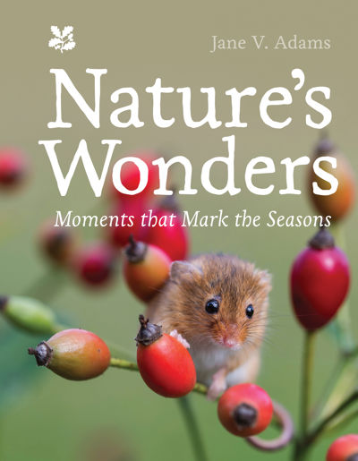 Nature’s Wonders
