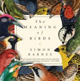 The Meaning of Birds - 2 Jan 2018