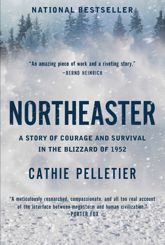 Northeaster - 3 Jan 2023