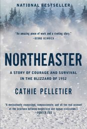 Northeaster - 3 Jan 2023