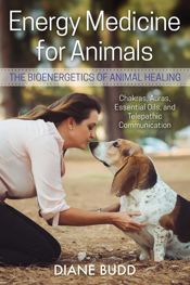 Energy Medicine for Animals - 19 Feb 2019