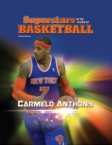 Carmelo Anthony - 17 Nov 2014