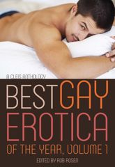 Best Gay Erotica of the Year, Volume 1 - 8 Dec 2015