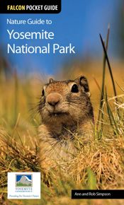 Nature Guide to Yosemite National Park - 21 Oct 2014