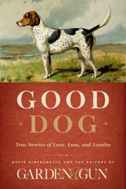 Good Dog - 21 Oct 2014