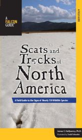 Scats and Tracks of North America - 3 Oct 2008
