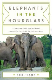 Elephants in the Hourglass - 7 Jan 2025