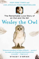 Wesley the Owl - 19 Aug 2008