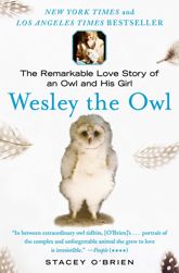 Wesley the Owl - 19 Aug 2008