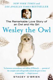 Wesley the Owl - 19 Aug 2008