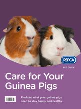 Care for Your Guinea Pigs - 7 May 2015