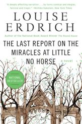 The Last Report on the Miracles at Little No Horse - 17 Mar 2009