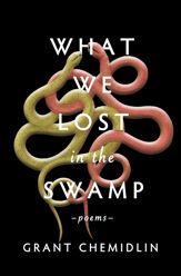 What We Lost in the Swamp - 2 May 2023