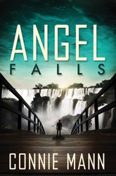 Angel Falls - 1 Mar 2013