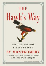 The Hawk's Way - 3 May 2022