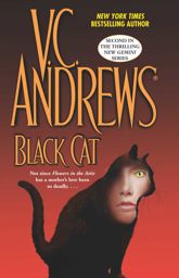 Black Cat - 5 Oct 2004