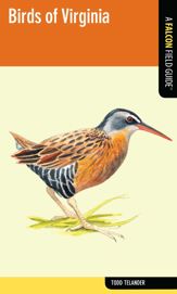 Birds of Virginia - 18 Dec 2012